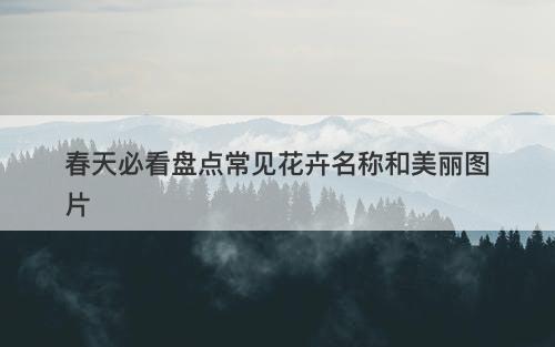 春天必看盘点常见花卉名称和美丽图片