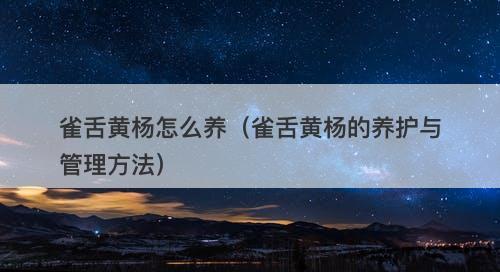 雀舌黄杨怎么养（雀舌黄杨的养护与管理方法）