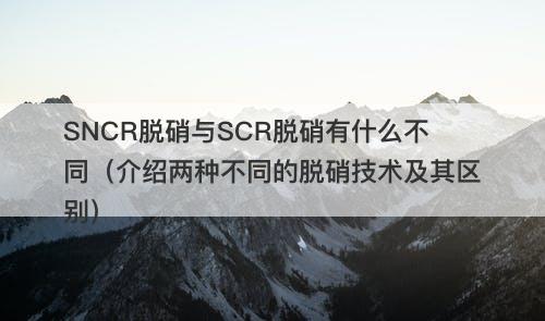 SNCR脱硝与SCR脱硝有什么不同（介绍两种不同的脱硝技术及其区别）
