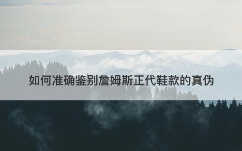 如何准确鉴别詹姆斯正代鞋款的真伪