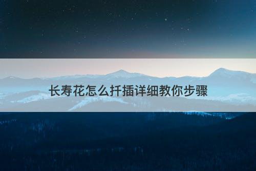 长寿花怎么扦插详细教你步骤