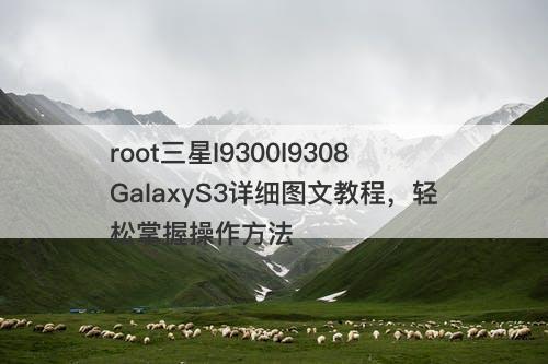root三星I9300I9308GalaxyS3详细图文教程，轻松掌握操作方法