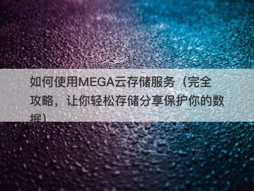 如何使用MEGA云存储服务（完全攻略，让你轻松存储分享保护你的数据）