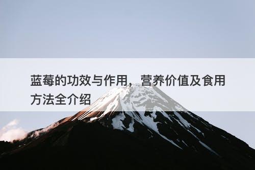 蓝莓的功效与作用，营养价值及食用方法全介绍