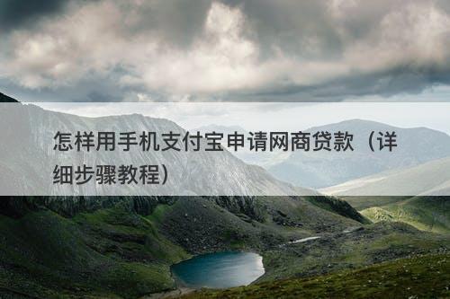 怎样用手机支付宝申请网商贷款（详细步骤教程）