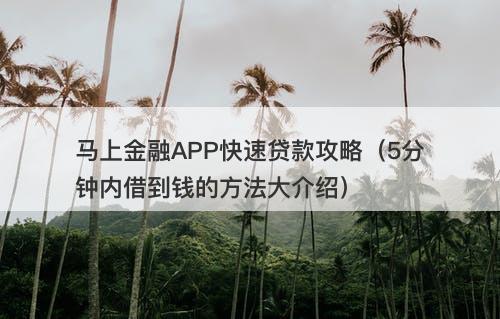 马上金融APP快速贷款攻略（5分钟内借到钱的方法大介绍）