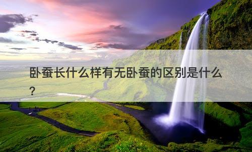 卧蚕长什么样有无卧蚕的区别是什么？