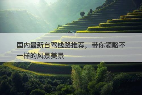 国内最新自驾线路推荐，带你领略不一样的风景美景