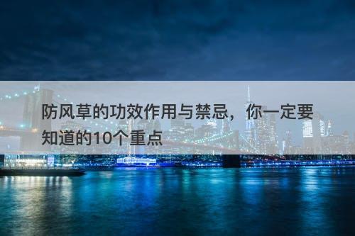 防风草的功效作用与禁忌，你一定要知道的10个重点