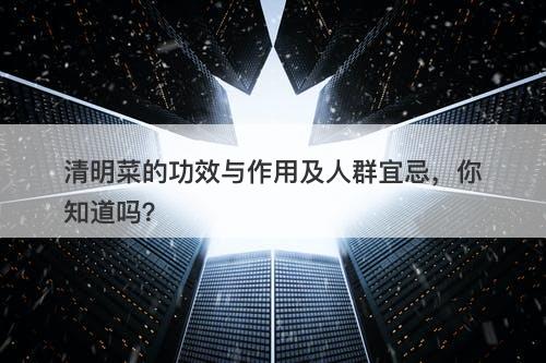 清明菜的功效与作用及人群宜忌，你知道吗？