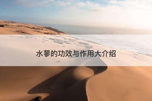 水蓼的功效与作用大介绍