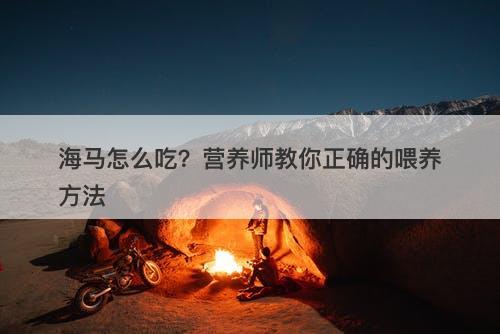海马怎么吃？营养师教你正确的喂养方法
