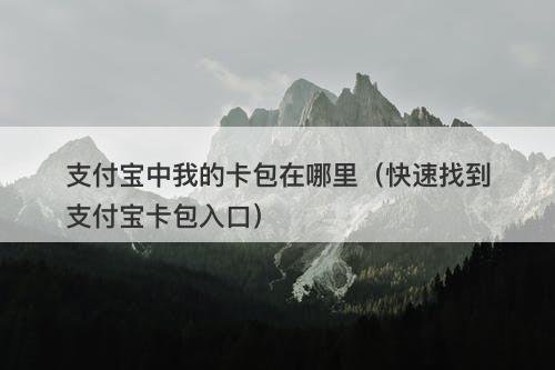 支付宝中我的卡包在哪里（快速找到支付宝卡包入口）