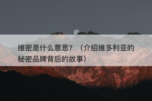 维密是什么意思？（介绍维多利亚的秘密品牌背后的故事）