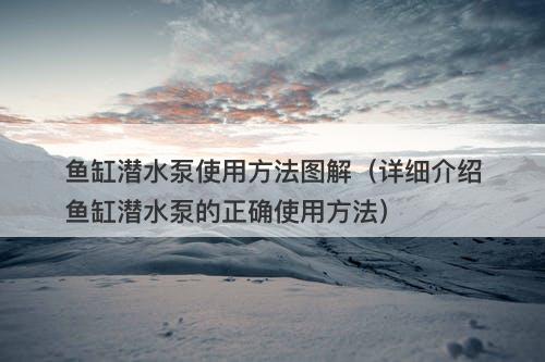 鱼缸潜水泵使用方法图解（详细介绍鱼缸潜水泵的正确使用方法）