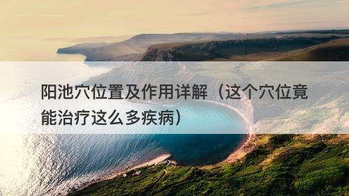 阳池穴位置及作用详解（这个穴位竟能治疗这么多疾病）