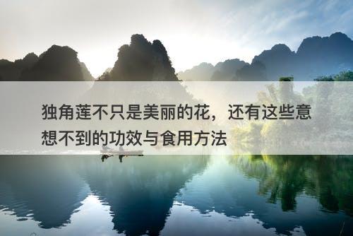 独角莲不只是美丽的花，还有这些意想不到的功效与食用方法