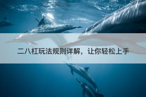 二八杠玩法规则详解，让你轻松上手