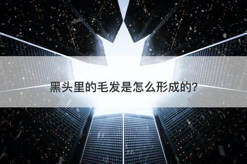 黑头里的毛发是怎么形成的？