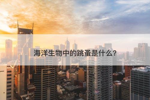 海洋生物中的跳蚤是什么？