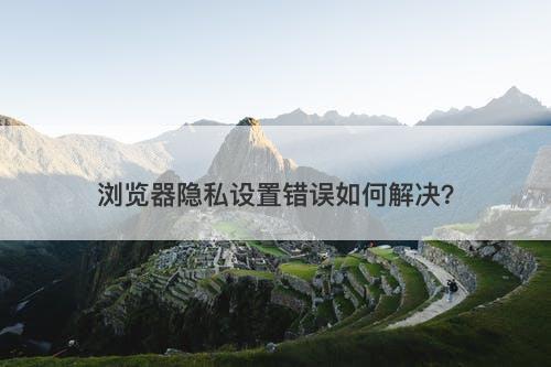 浏览器隐私设置错误如何解决？