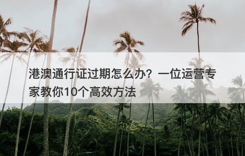 港澳通行证过期怎么办？一位运营专家教你10个高效方法