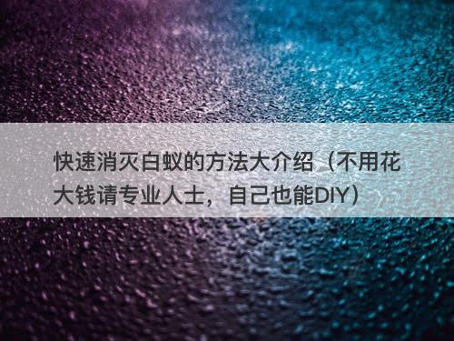 快速消灭白蚁的方法大介绍（不用花大钱请专业人士，自己也能DIY）