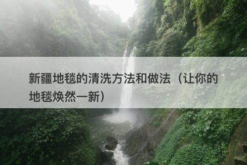 新疆地毯的清洗方法和做法（让你的地毯焕然一新）