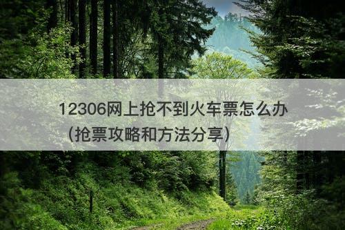 12306网上抢不到火车票怎么办（抢票攻略和方法分享）