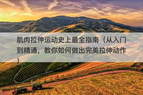 肌肉拉伸运动史上最全指南（从入门到精通，教你如何做出完美拉伸动作）