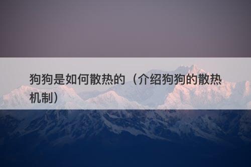 狗狗是如何散热的（介绍狗狗的散热机制）