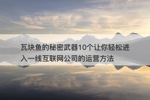 瓦块鱼的秘密武器10个让你轻松进入一线互联网公司的运营方法