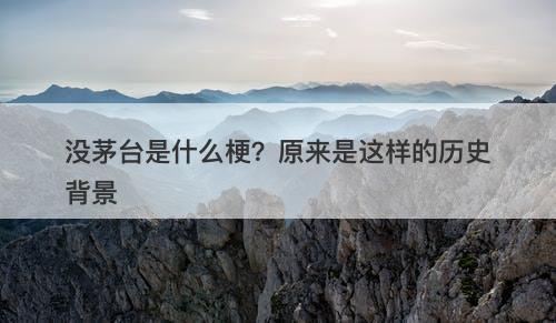 没茅台是什么梗？原来是这样的历史背景