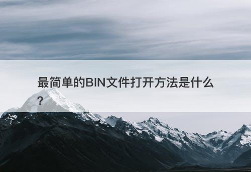 最简单的BIN文件打开方法是什么？