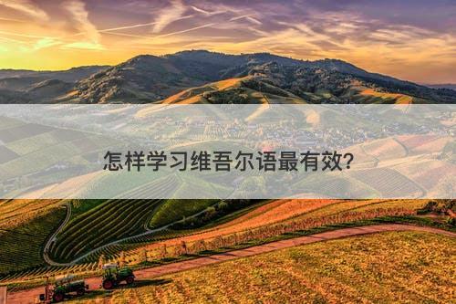 怎样学习维吾尔语最有效？