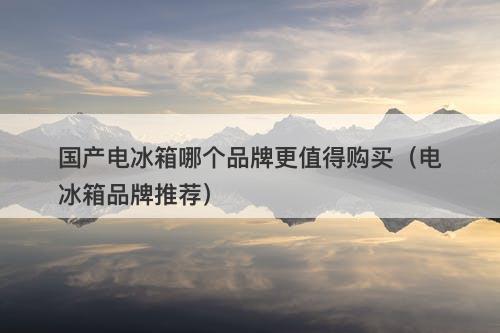 国产电冰箱哪个品牌更值得购买（电冰箱品牌推荐）