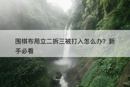 围棋布局立二拆三被打入怎么办？新手必看
