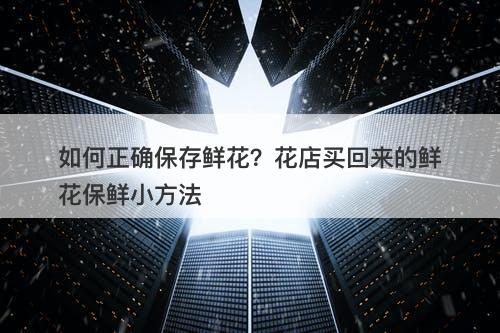 如何正确保存鲜花？花店买回来的鲜花保鲜小方法