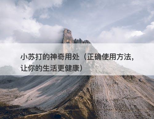 小苏打的神奇用处（正确使用方法，让你的生活更健康）