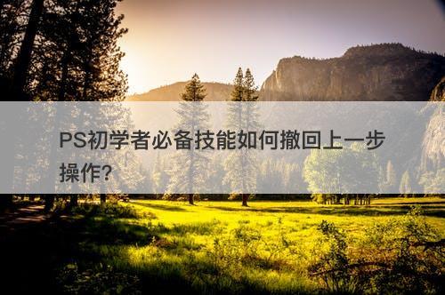 PS初学者必备技能如何撤回上一步操作？