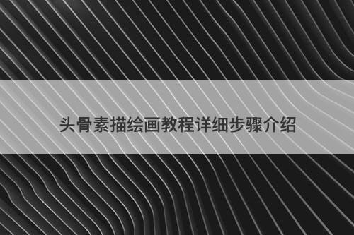 头骨素描绘画教程详细步骤介绍