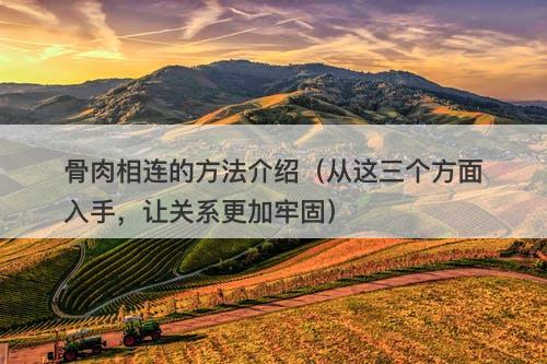 骨肉相连的方法介绍（从这三个方面入手，让关系更加牢固）