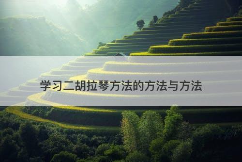 学习二胡拉琴方法的方法与方法