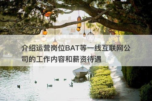 介绍运营岗位BAT等一线互联网公司的工作内容和薪资待遇