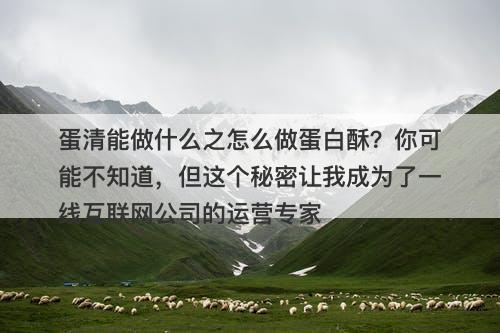 蛋清能做什么之怎么做蛋白酥？你可能不知道，但这个秘密让我成为了一线互联网公司的运营专家