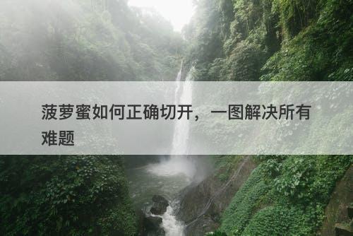 菠萝蜜如何正确切开，一图解决所有难题