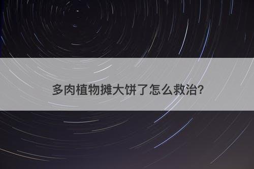 多肉植物摊大饼了怎么救治？