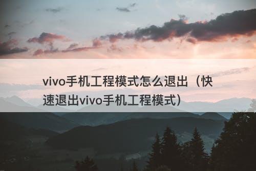 vivo手机工程模式怎么退出（快速退出vivo手机工程模式）