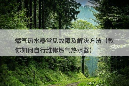 燃气热水器常见故障及解决方法（教你如何自行维修燃气热水器）
