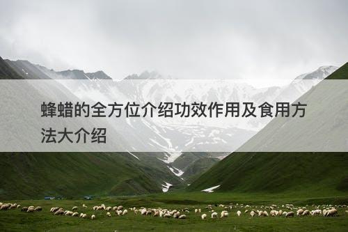 蜂蜡的全方位介绍功效作用及食用方法大介绍